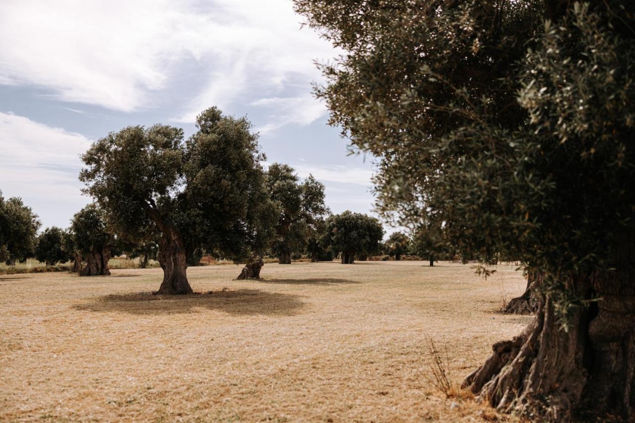 Masseria Garrappa Φαζάνο Εξωτερικό φωτογραφία