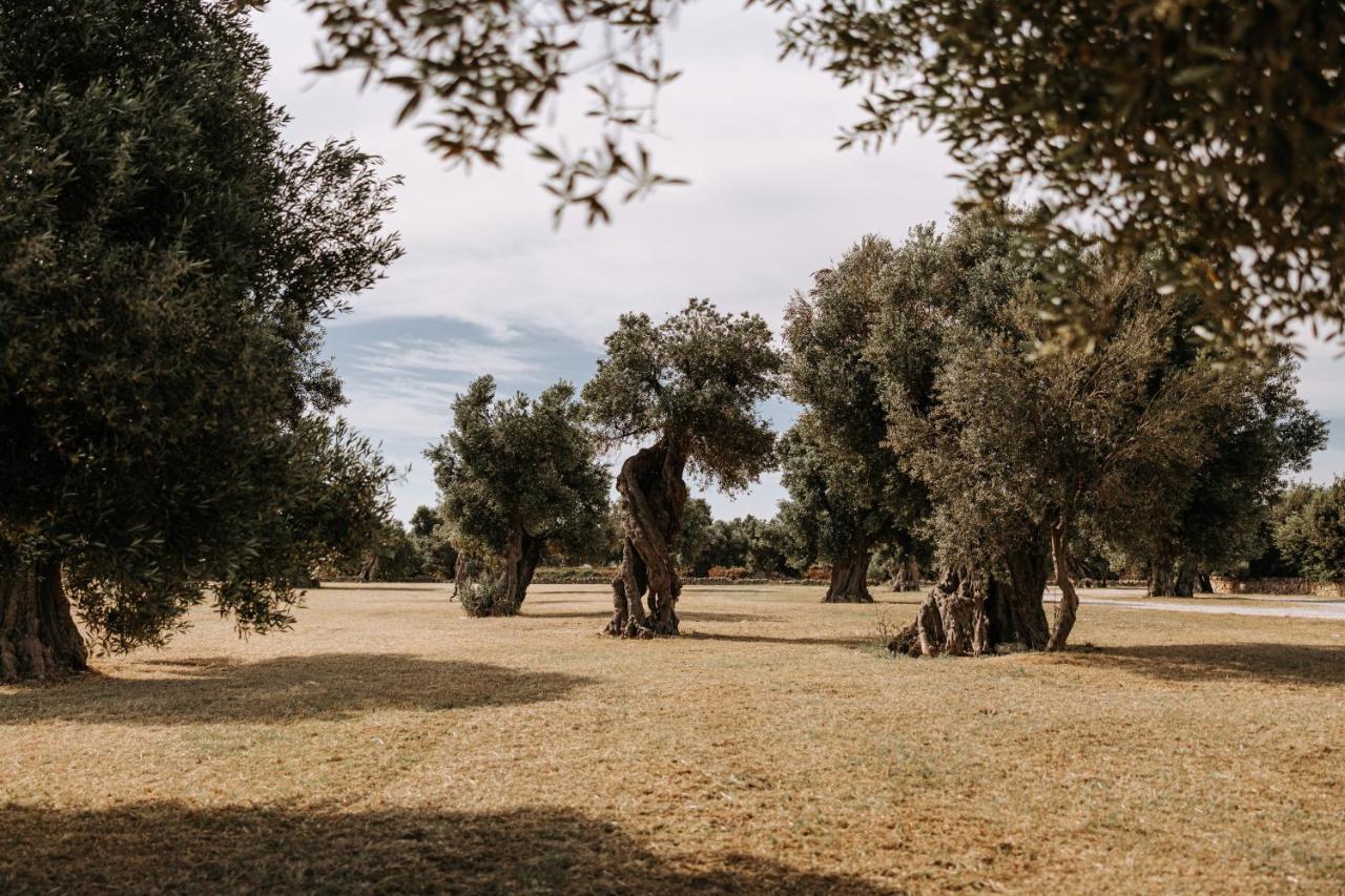 Masseria Garrappa Φαζάνο Εξωτερικό φωτογραφία