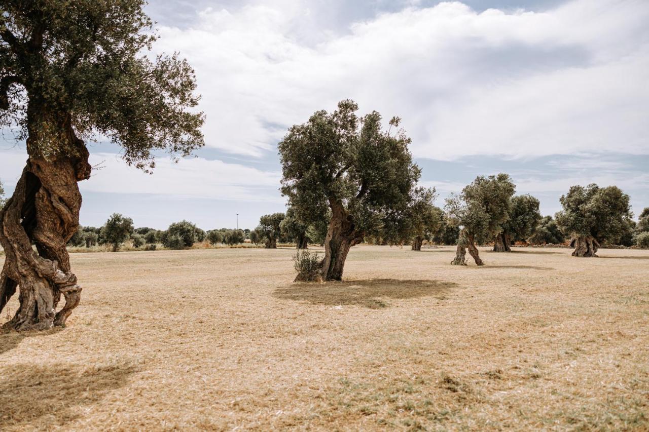Masseria Garrappa Φαζάνο Εξωτερικό φωτογραφία