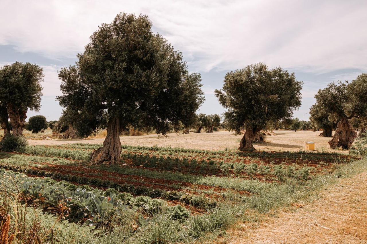 Masseria Garrappa Φαζάνο Εξωτερικό φωτογραφία